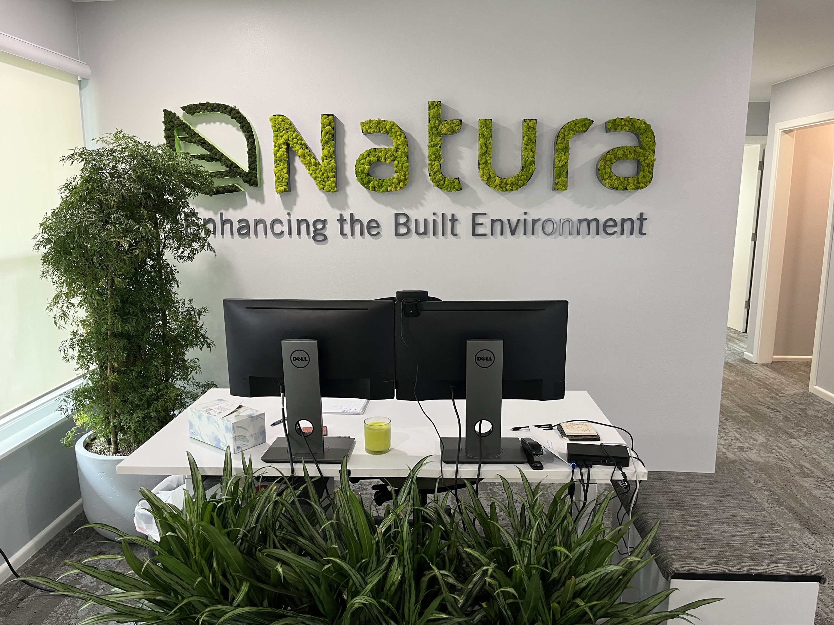 How architects are incorporating plants for office privacy.