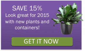 office plants save 15% coupon