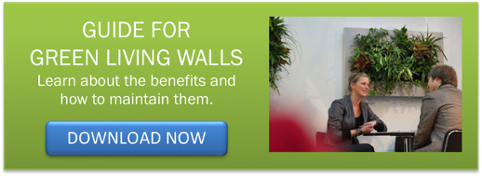 the benefits of green living walls_vertical garden systems