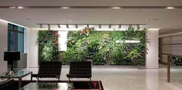 green living wall in office 