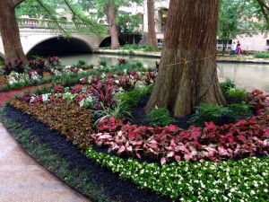 Case Study: A Plant Solution for a Shaded, Outdoor Environment