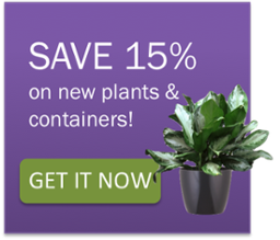 coupons for office plants and containers