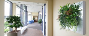 Green Living Walls Save Tenants Money