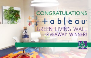 Green Living Wall Giveaway Winner