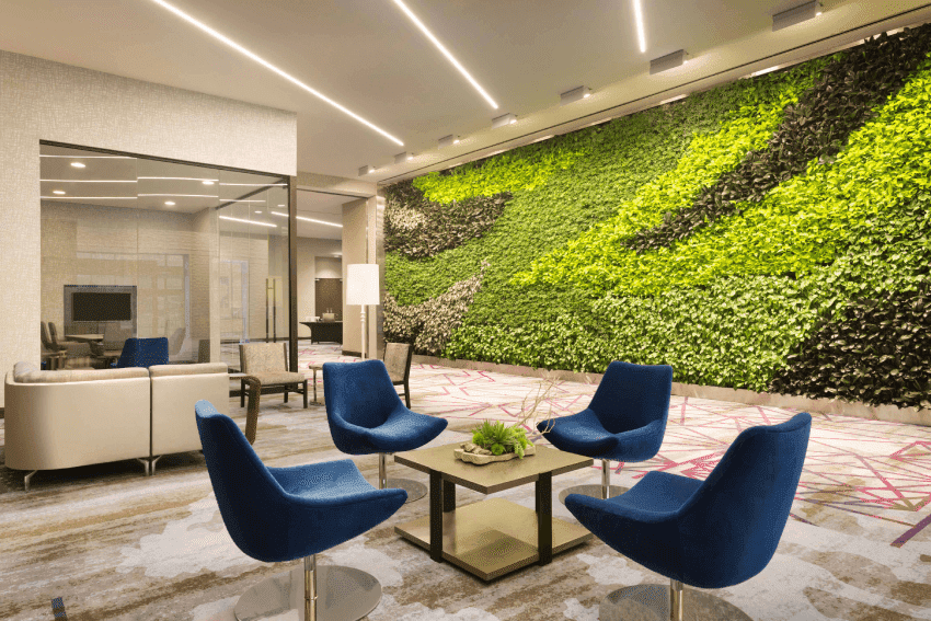 Blue chairs in a waiting area with a living wall done by Natura 