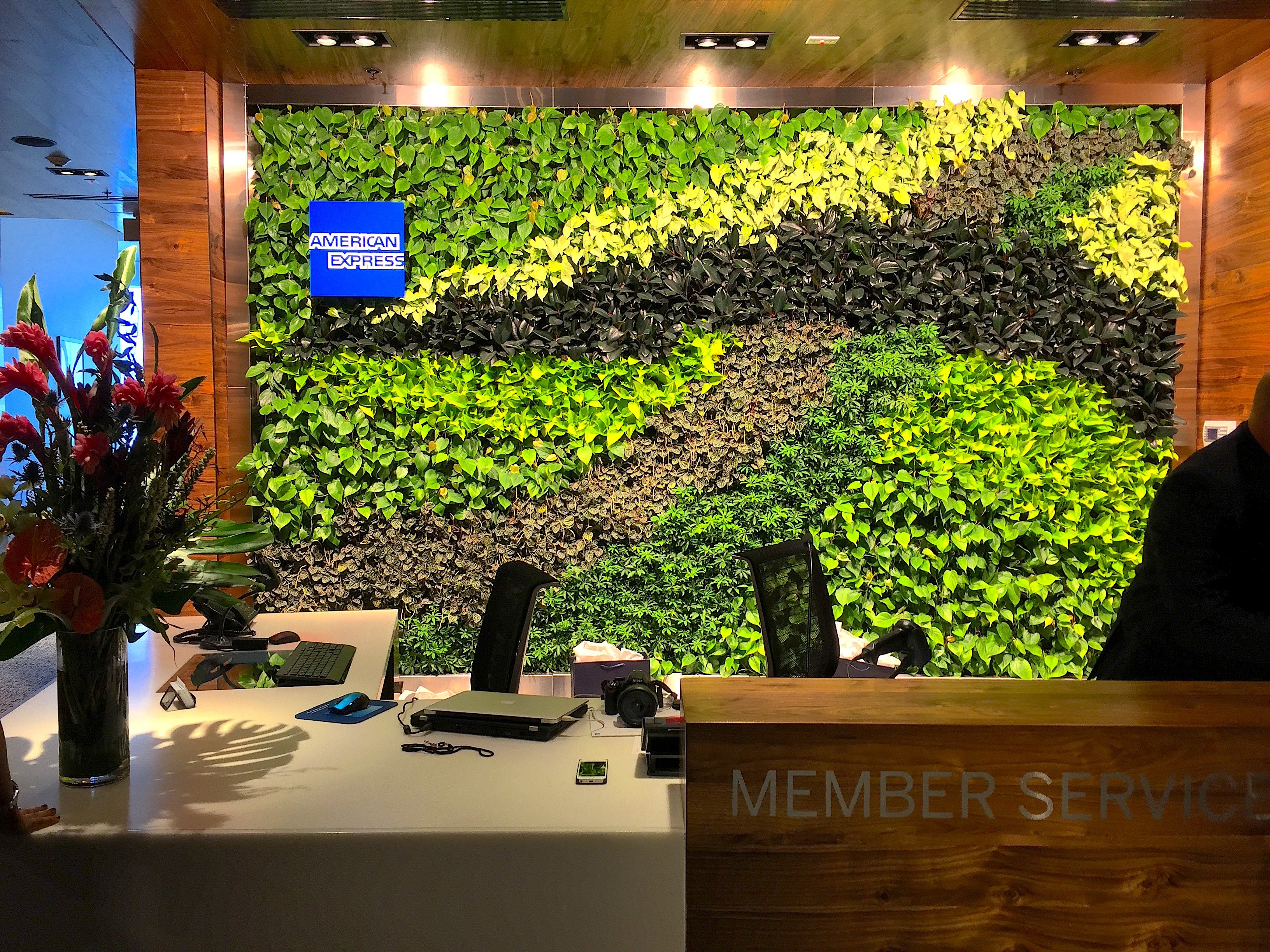 image of an office with lush living green wall