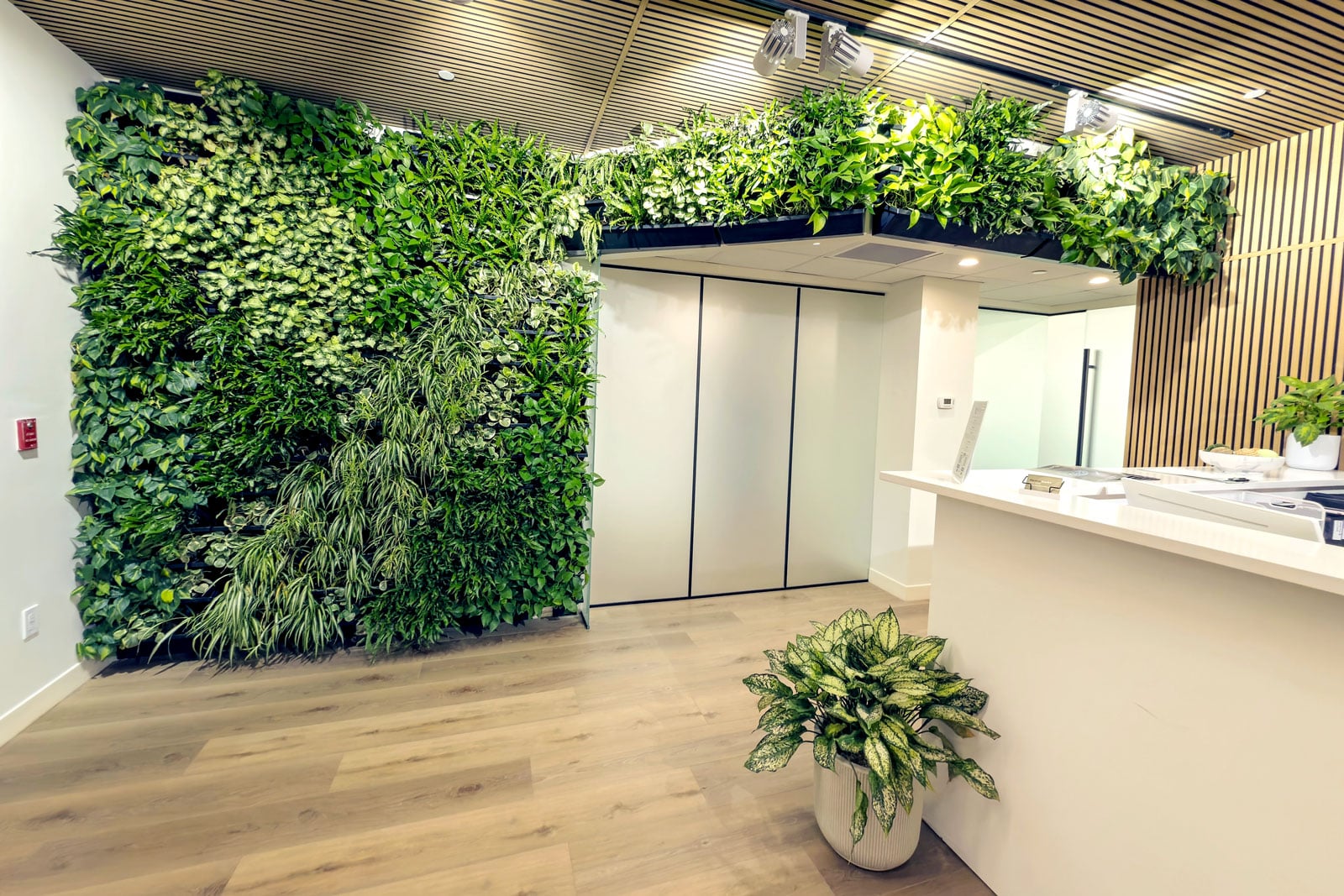 Which Green Wall Systems Work Best for Commercial Buildings?