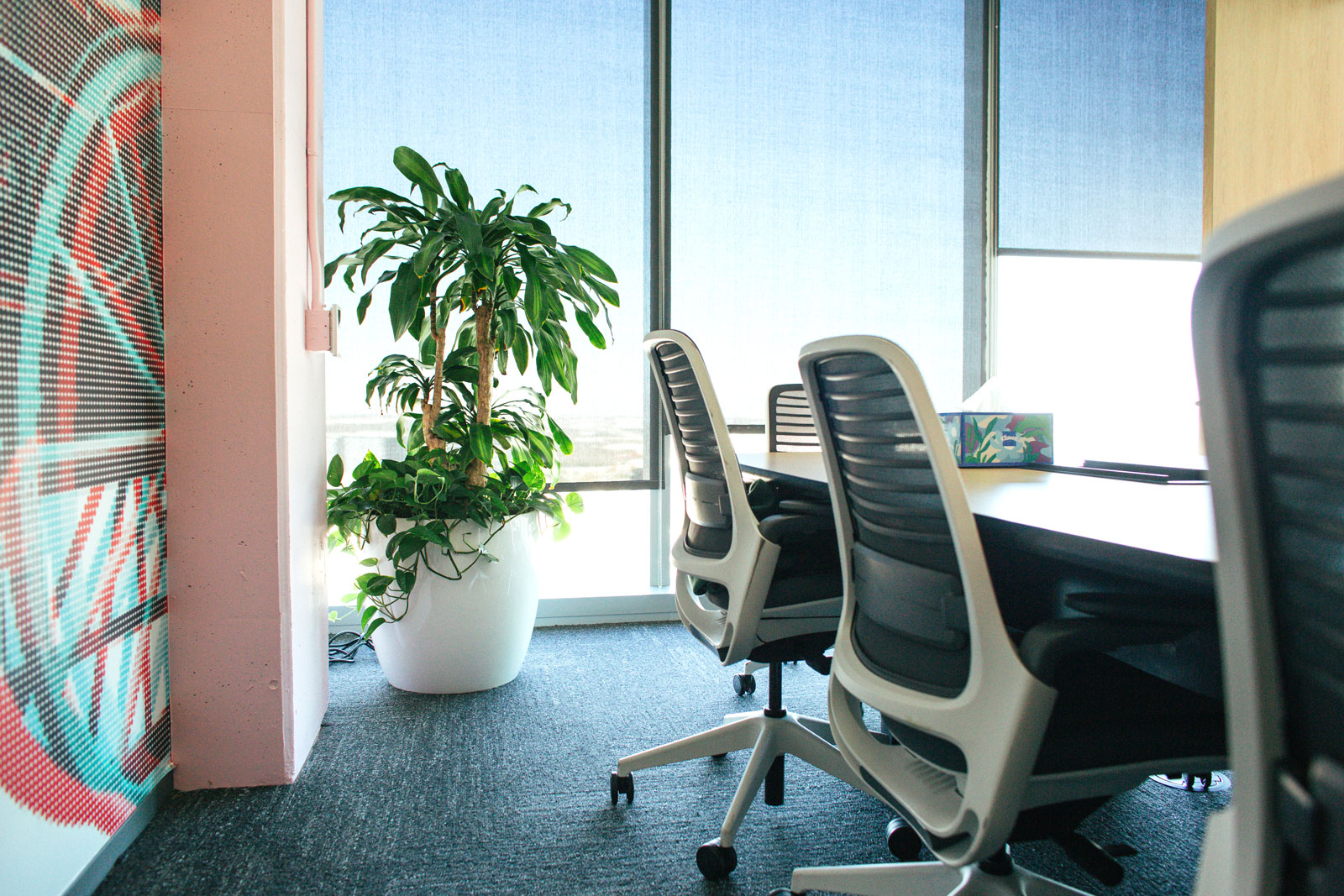 Rent vs Purchase Indoor Plants: What’s Best for Corporates in 2026