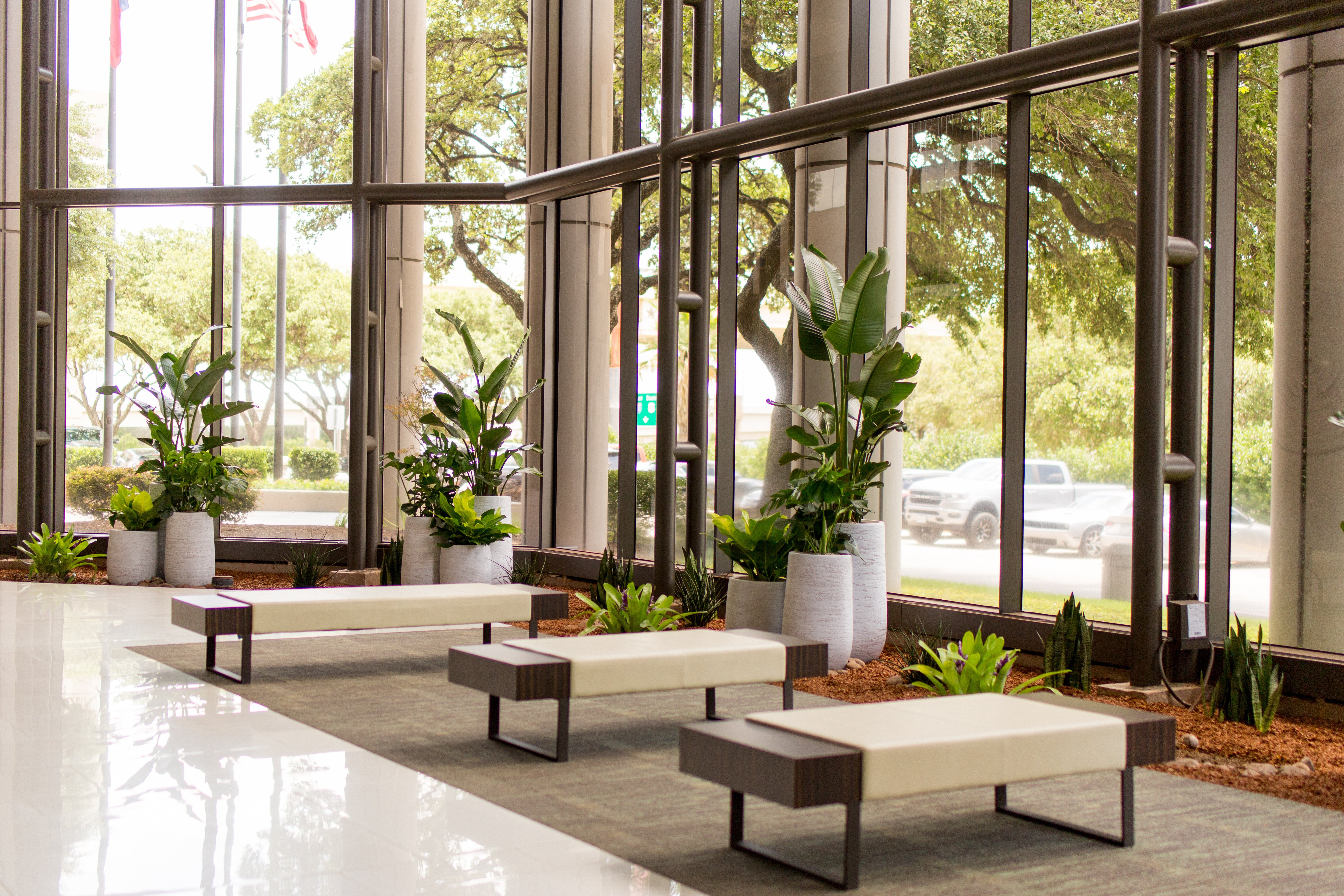 Interior plants in a waiting area in front of window 