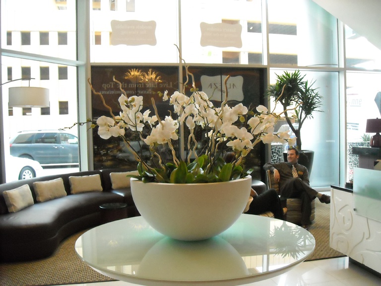 Workhorses and Zebras: Office Plant Design Made Simple